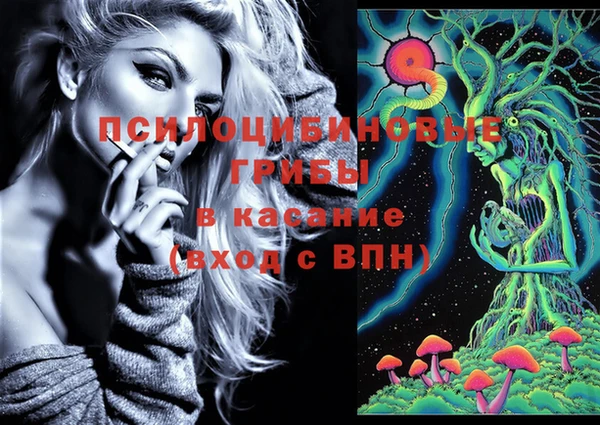 apvp Богородицк