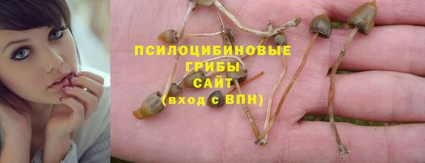 а пвп мука Богданович