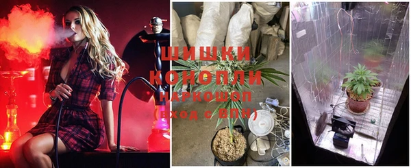 а пвп мука Богданович