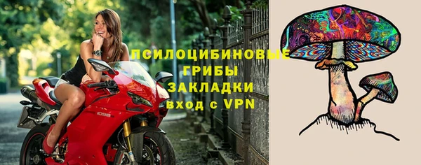 а пвп мука Богданович