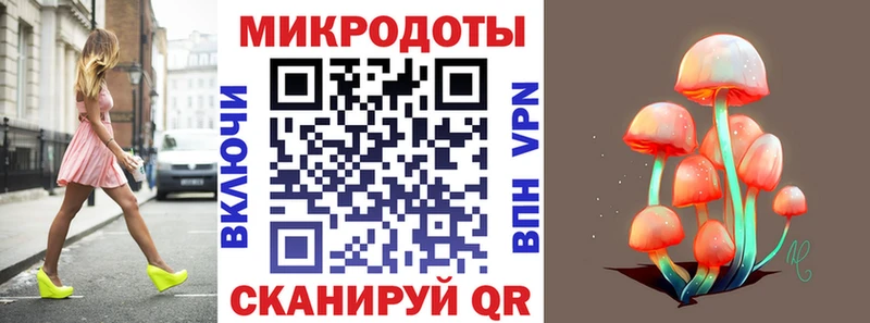 Псилоцибиновые грибы Psilocybe  Псков 